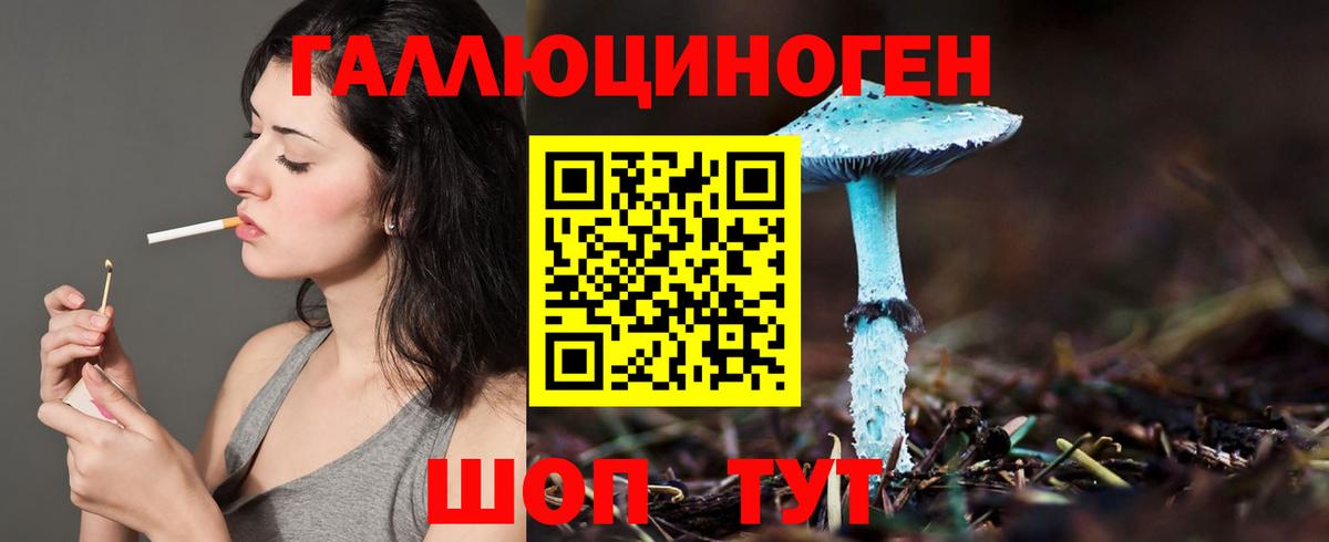 Галлюциногенные грибы Magic Shrooms  Вход с VPN  Галлюциногенные грибы Psilocybine cubensis  Удомля 
